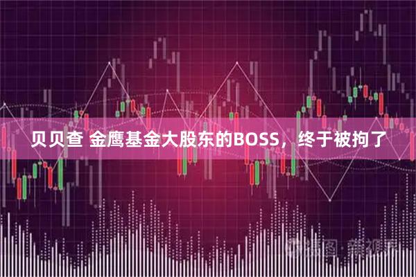 贝贝查 金鹰基金大股东的BOSS，终于被拘了